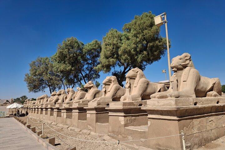 Full day tour to the East and west banks of luxor .