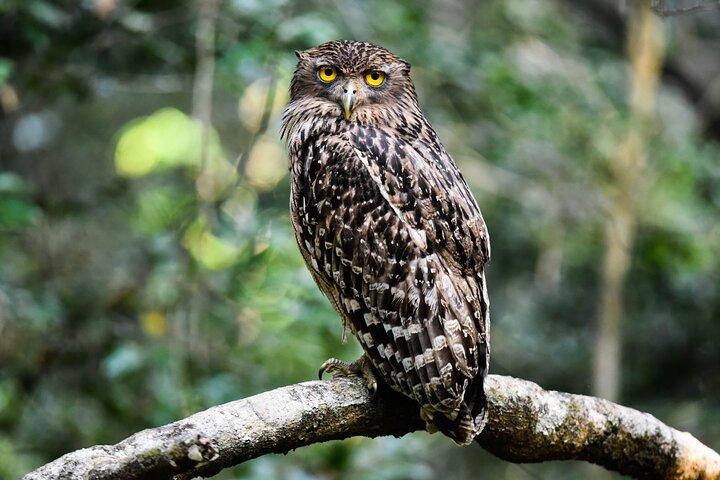 Wilpattu National Park Fulddagsafari (Private og All-Inclusive)