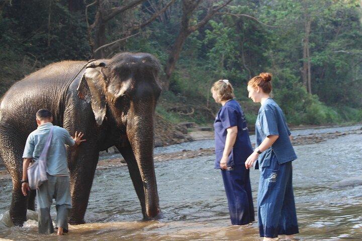Tour combinado en Santuario del Elefante, Cascada Pegajosa, Tierra Angular