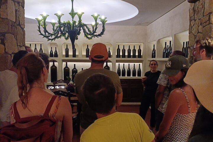 Ktima Gerovassiliou Wine Tour & Museo – Salonicco”