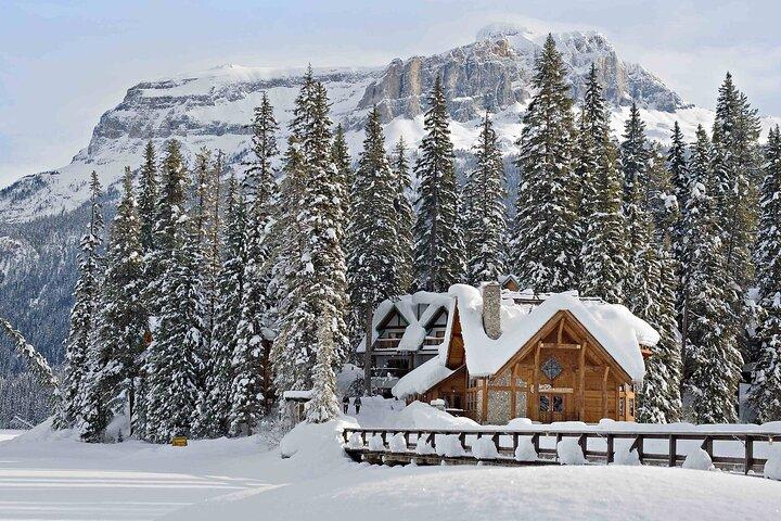 Banff : モレーン湖,ルイーズ,エメラルド,ジョンストンキャニオン&ナチュラルブリッジ