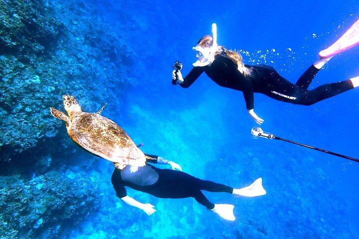 Okinawa/Naha : Ganztägiges Kerama Island Erlebnis Tauchen/Schnorcheln
