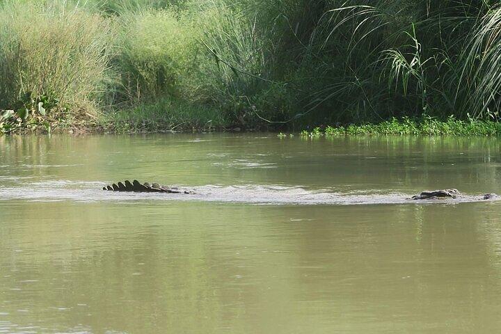 Chitwan Jungle Safari de Catmandu e volta Tour de vários dias