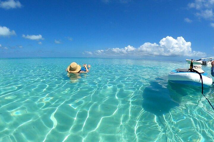 Noleggio barca privato Key West, tour dei delfini, snorkeling e sandbar