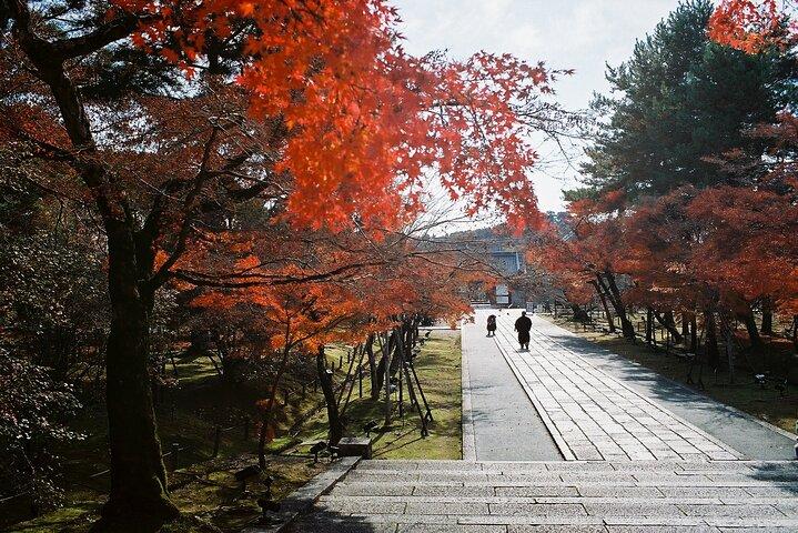 Kyoto : Visita guiada ao Templo Kinkaku-ji e ao Jardim Sereno
