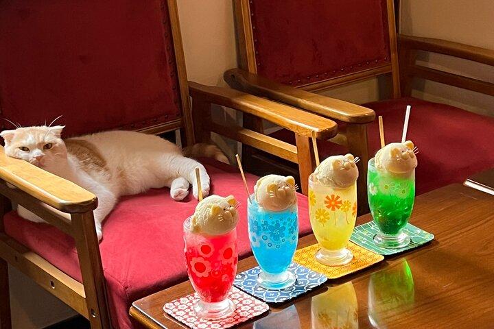 Cerimonia privata del tè al Kyoto Cat Sanctuary – Ritiro etico