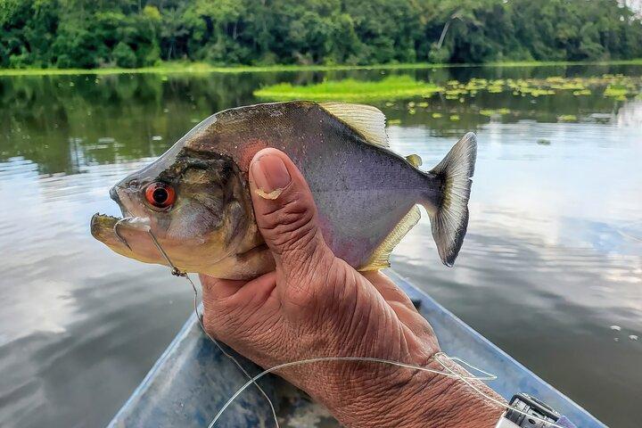 Dia inteiro Amazonas Adventure: Private Shore Tour de Iquitos