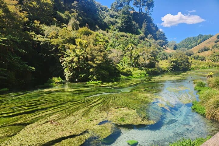 Private Hobbiton movie set & Blue springs from Auckland