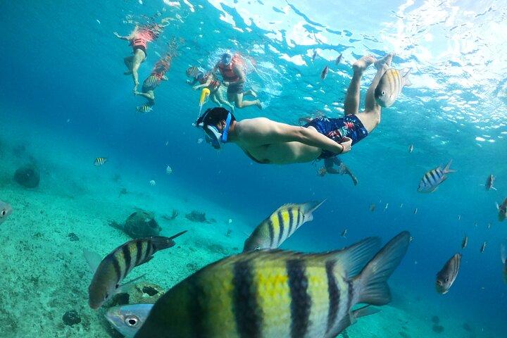 Barco transparente com snorkel, bebidas e sessão de fotos.
