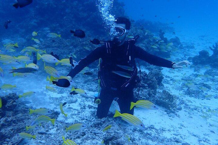 Experiência de mergulho na Ilha de Ishigaki ~ Aluguel de equipamento incluído ~ Chuveiro disponível ~ Foto grátis ~