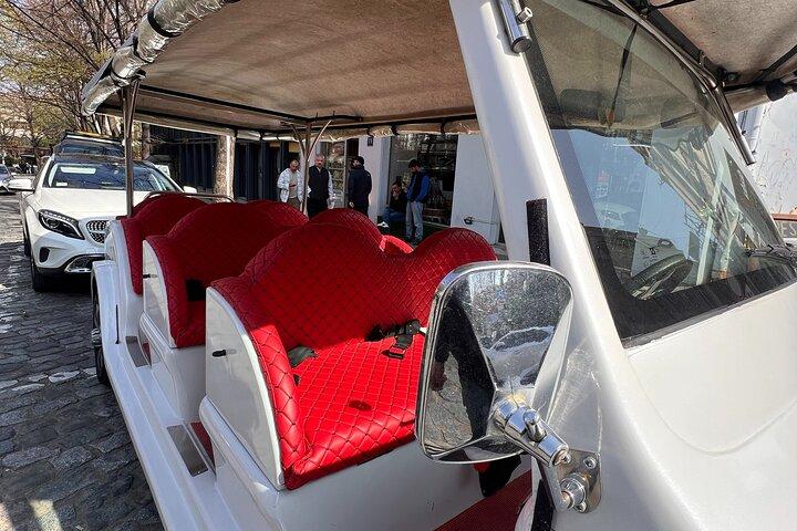 Tbilisi Electric Bus Tour Sightseeing på 40 minutter