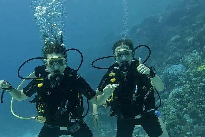 Buceo de día completo para principiantes en Hurghada