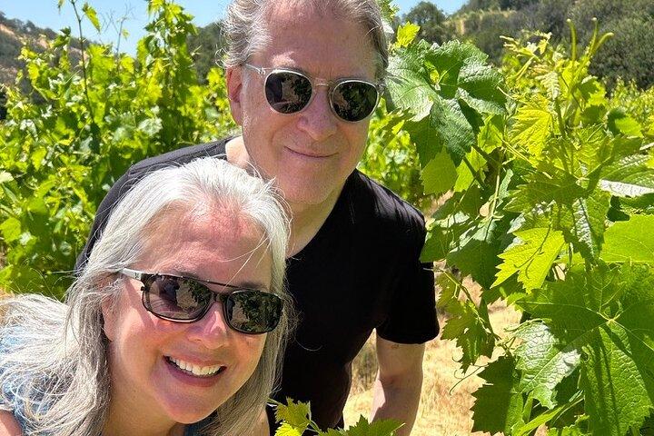 Kenwood Wine Country Tour elettrico e vino - 3 ore