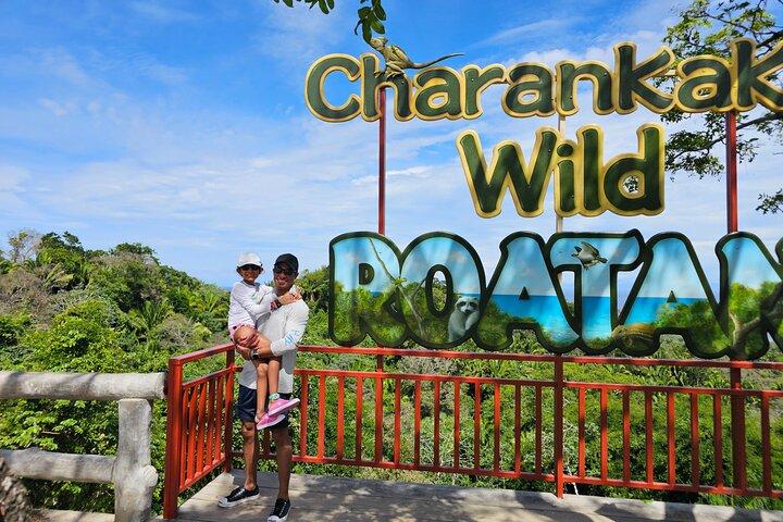 Explore Roatan com Zipline Vida Selvagem e Praias