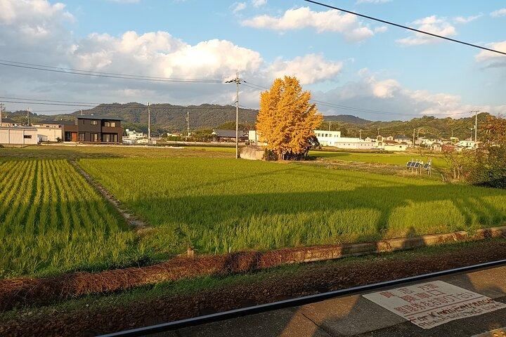 Kumano Kodo Kii-ji vandretur fra Hoshiya Station