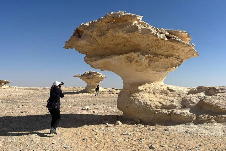Excursão de 2 dias ao Deserto Branco e Bahariya Oasis do Cairo