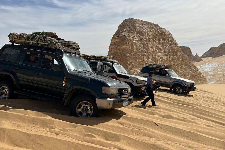 Excursão de 2 dias ao Deserto Branco e Bahariya Oasis do Cairo