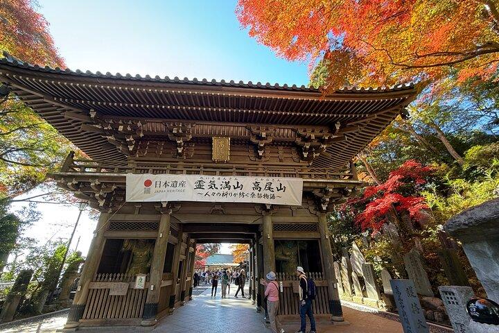 Private Berg Takao Hike & Onsen von Shinjuku mit Ex-JR Dirigent