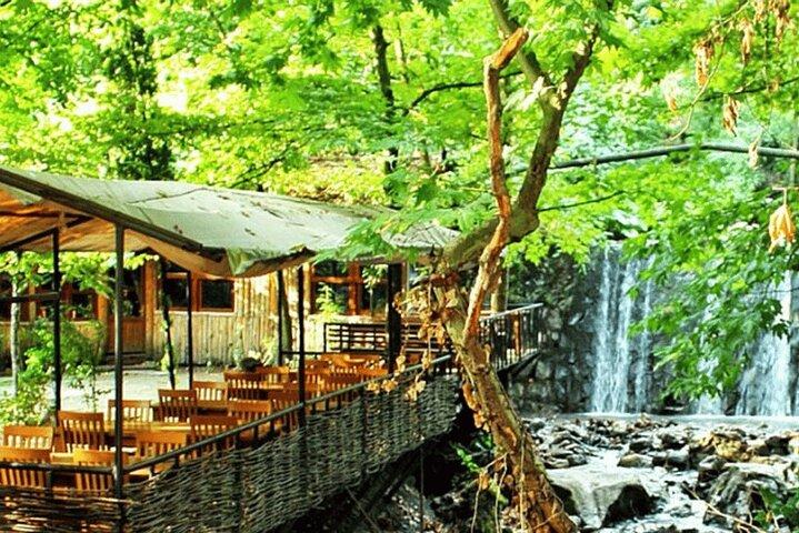 Fra Istanbul: Scenic Sapanca og Masukiye Day Trip med frokost