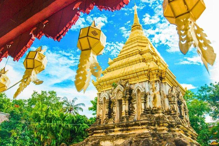 Chiang Mai: Historisk cykeltur i den gamle by - morgen eller aften