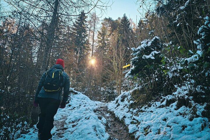 Sound of Music Do Re Mi Hike Tour