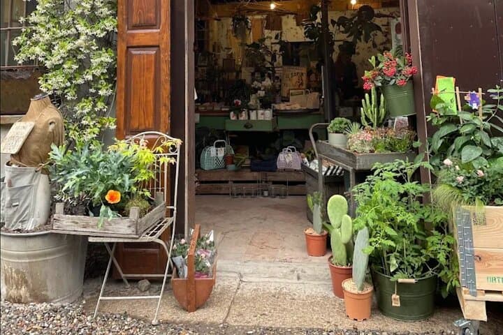 Japanese Kokedama Class in Milan’s Navigli District