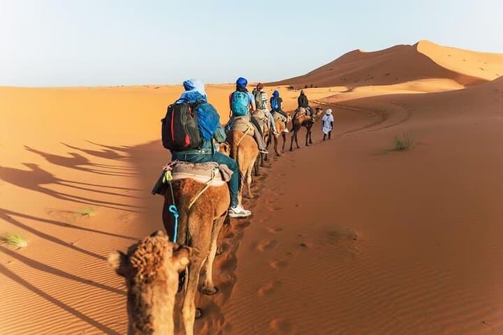 Vip Sunset Evening Safari Dubai: Camel Ride, Shows & BBQ Dinner