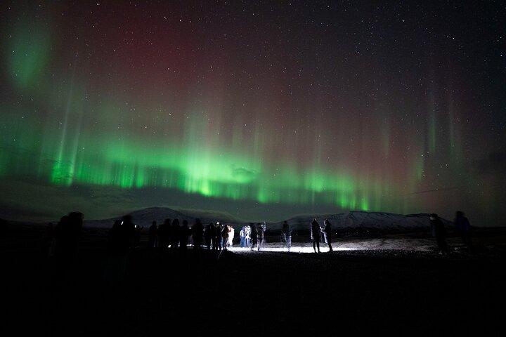 Reykjavik: Northern Lights Coach Tour with Live Forecast