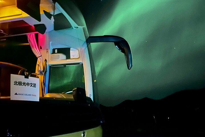 Reykjavik: Northern Lights Coach Tour with Live Forecast