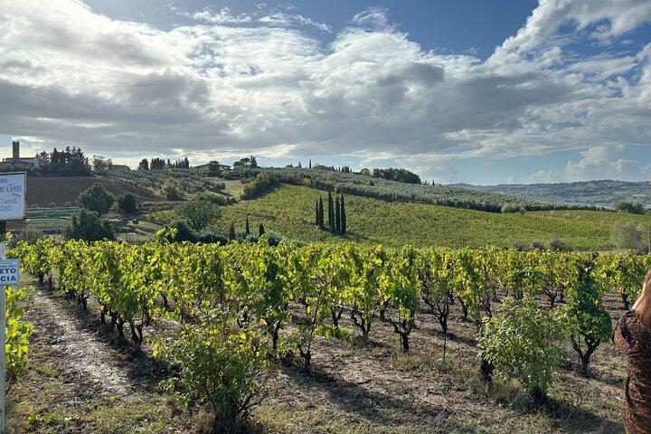 Tour privato San Gimignano e pranzo con wine tasting da Firenze