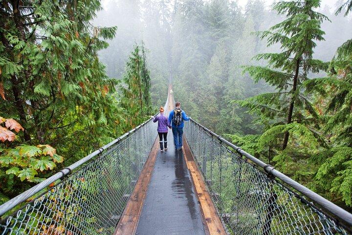 Tour della città di Vancouver con Stanley, Grouse Mountain e Capillano Suspension Private