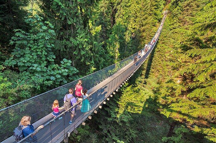 Tour della città di Vancouver con Stanley, Grouse Mountain e Capillano Suspension Private