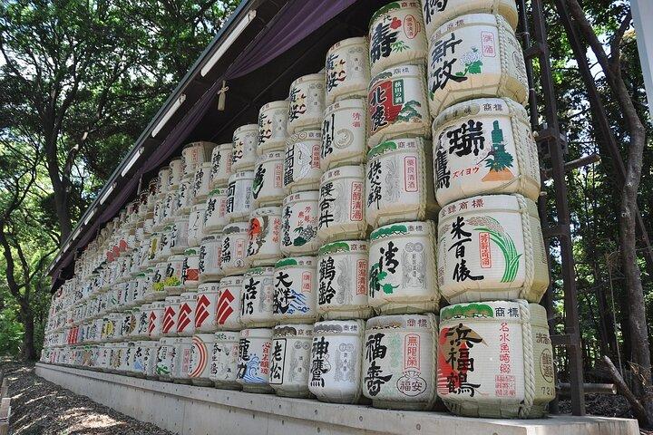 Tour privato personalizzato di Tokyo con Guida locale Highlights&Hidden Gems