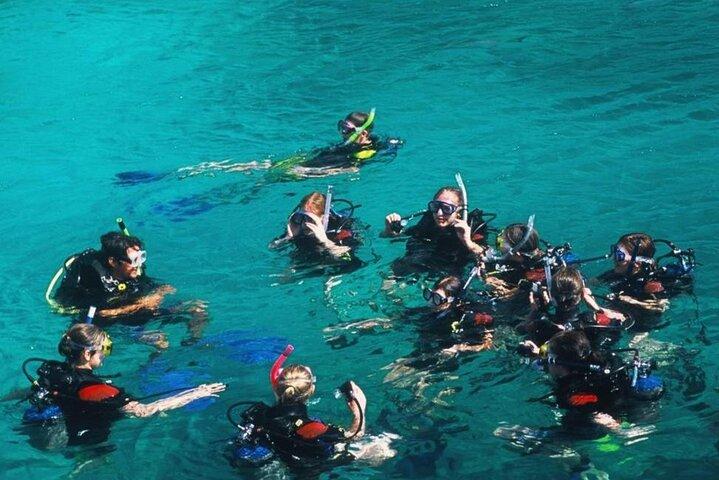 Nha Trang Snorkeling: Ilha de Mun e Coral Reefs
