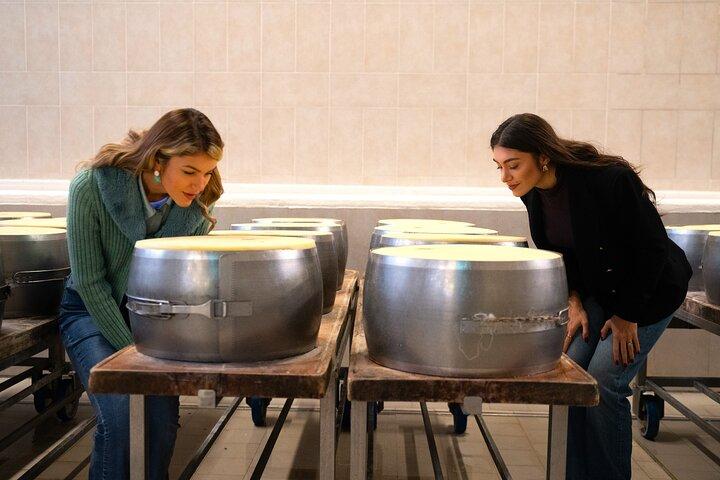 Excursion privée d'une journée et déjeuner : Dégustation de parmesan, de vin et de vinaigre