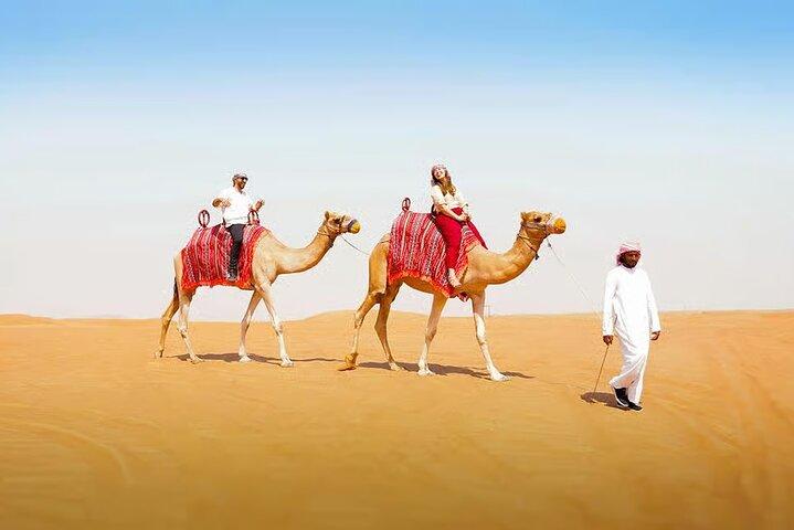 Dubai Safari: Dune Bashing, Camel Rides, Dinner and Stargazing