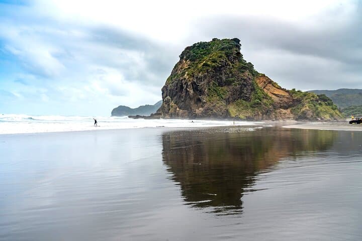 Auckland West Coast Half-Day Private Tour