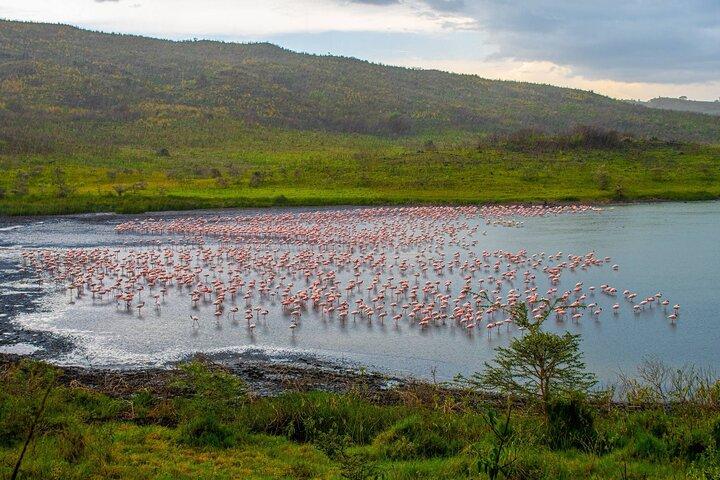 Arusha Nationaal Park Wandelen Safari en Game Drive