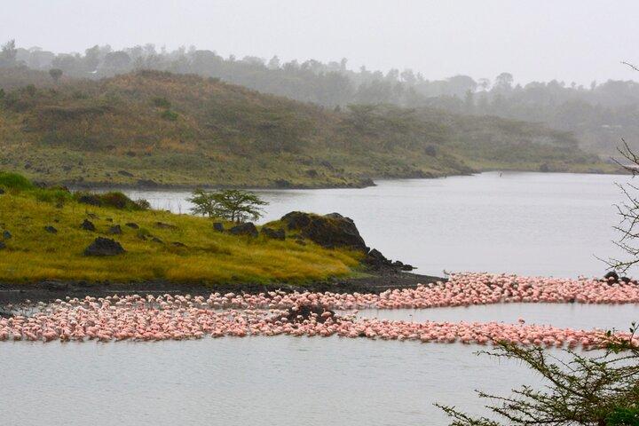 Arusha Nationaal Park Wandelen Safari en Game Drive