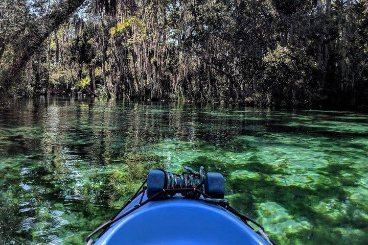 Crystal River Tandem Kayak Verhuur | 4 uur | Zie de Manatees!