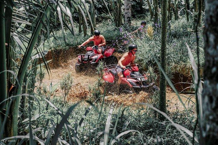 Gorilla Face Cave Jungle e Waterfall com ATV Quad Bike