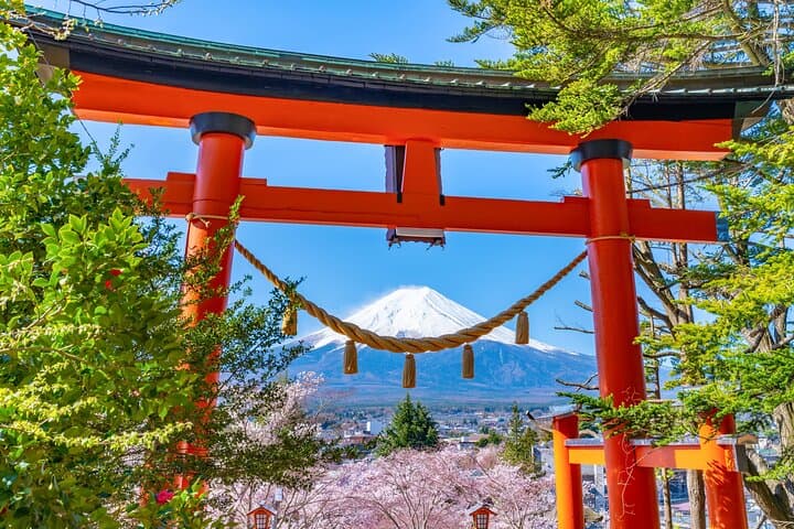 Mt. Fuji Highlight Photo Spots One Day Tour from Tokyo