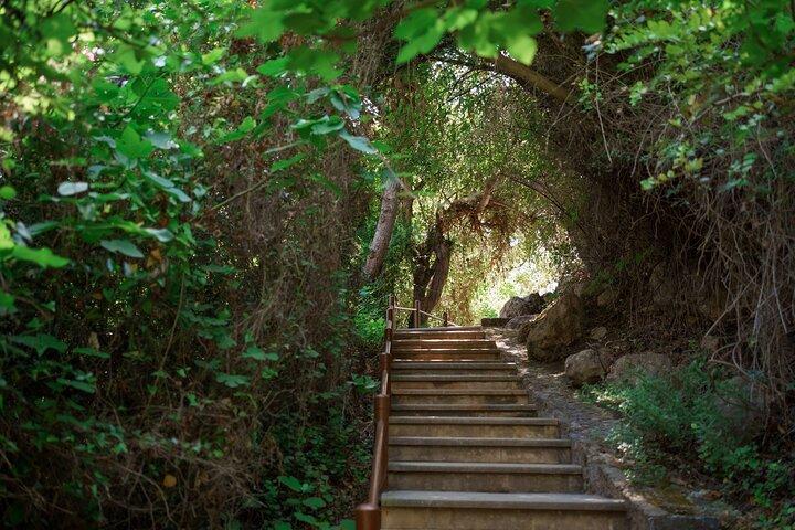 Paphos Highlights Baths of Aphrodite's and Wine Tasting Tour