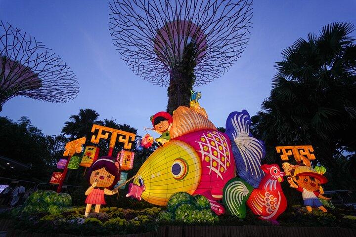 Paquete combinado de Singapore Gardens by the Bay