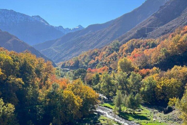 Day Trip in High Atlas Mountains