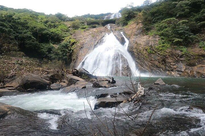 Full Day Join Goa Tour: Dudhsagar Waterfalls & Spice Planatation