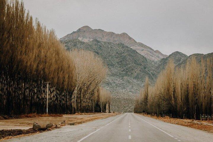 Alta Montaña con Paradas Panorámicas Sin Caminatas