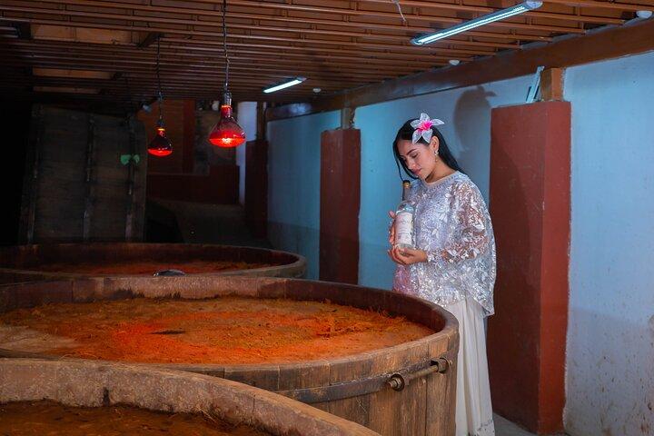Visite du Mezcal durable à une distillerie familiale primée