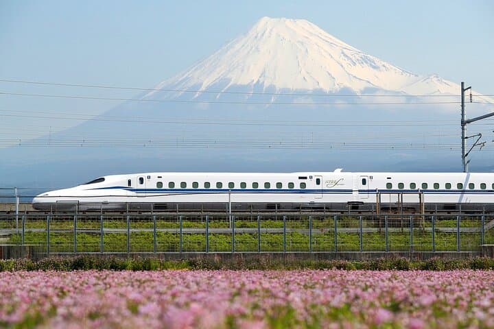 Mt Fuji Views Tour by Bullet Train Hokusai Train and Wasabi Farm