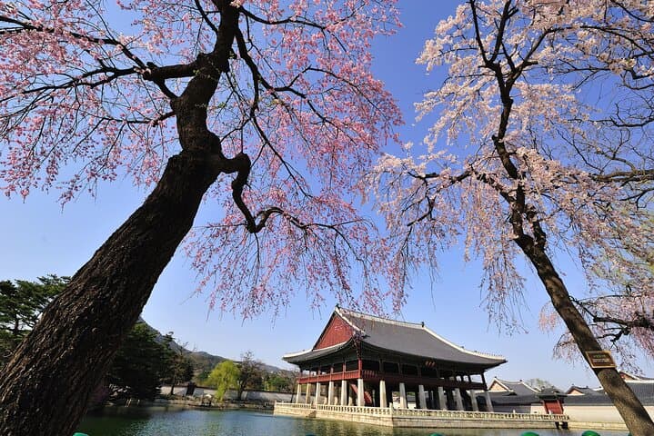 Highlights of Seoul Full Day Tour
